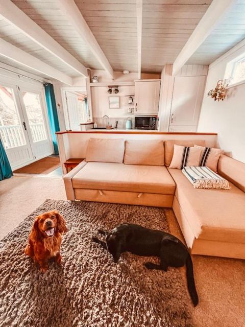 הוילה טרורו Blankednick Boltholes - 3 Beautiful Family Or Couples Cornish Getaways מראה חיצוני תמונה